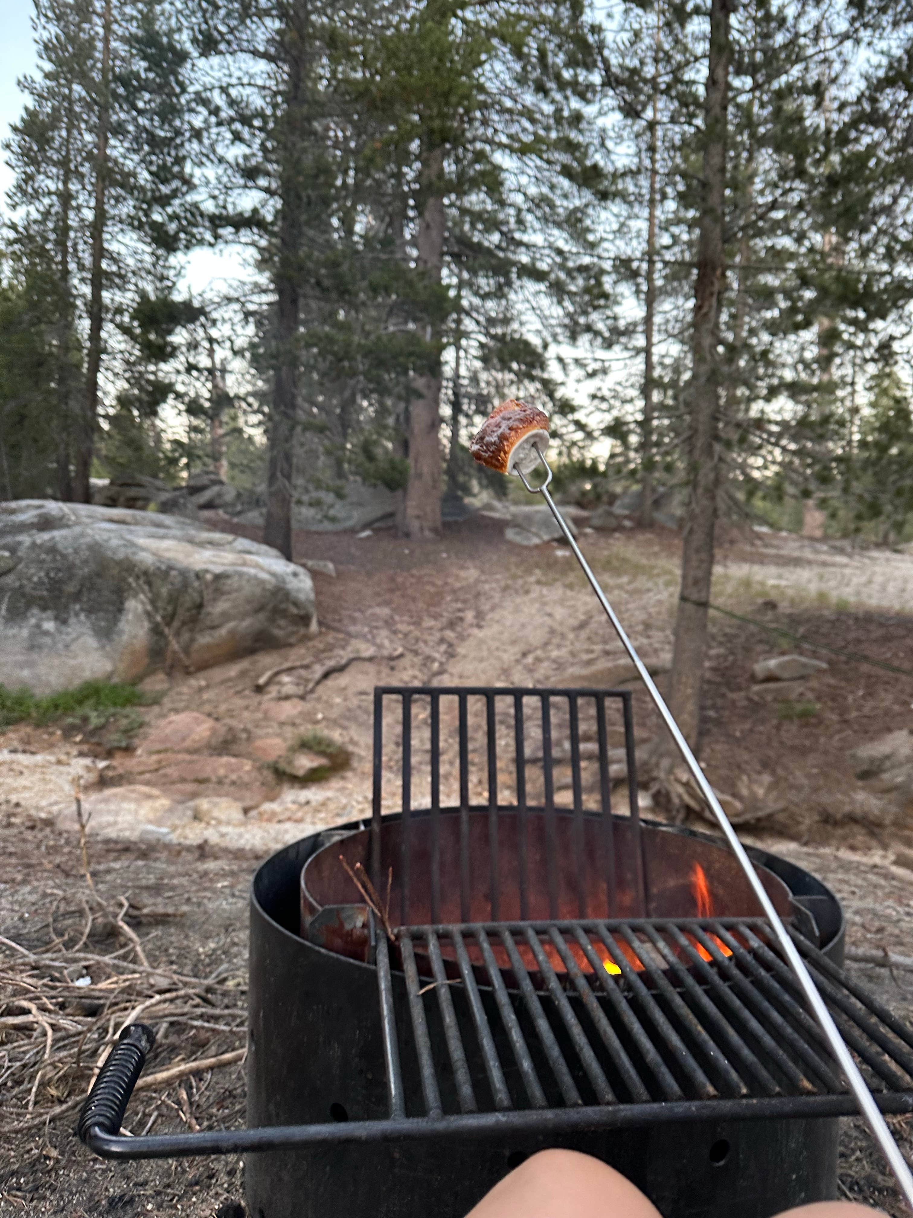 Camper submitted image from Big Meadow Campground - 5