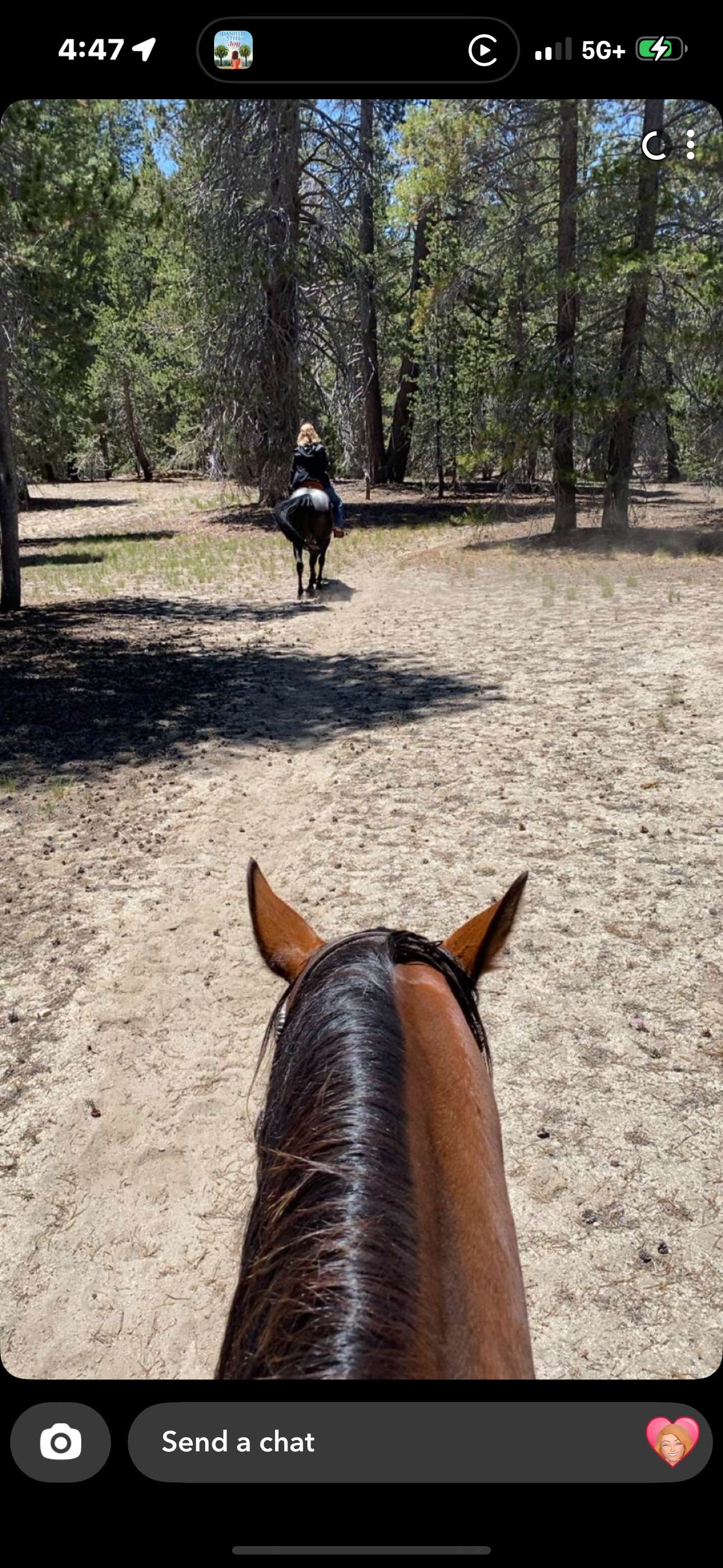 Camper-submitted photo at big meadows horse camp near Sequoia and Kings Canyon National Parks