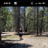 Review photo of big meadows horse camp by Lori L., June 20, 2025