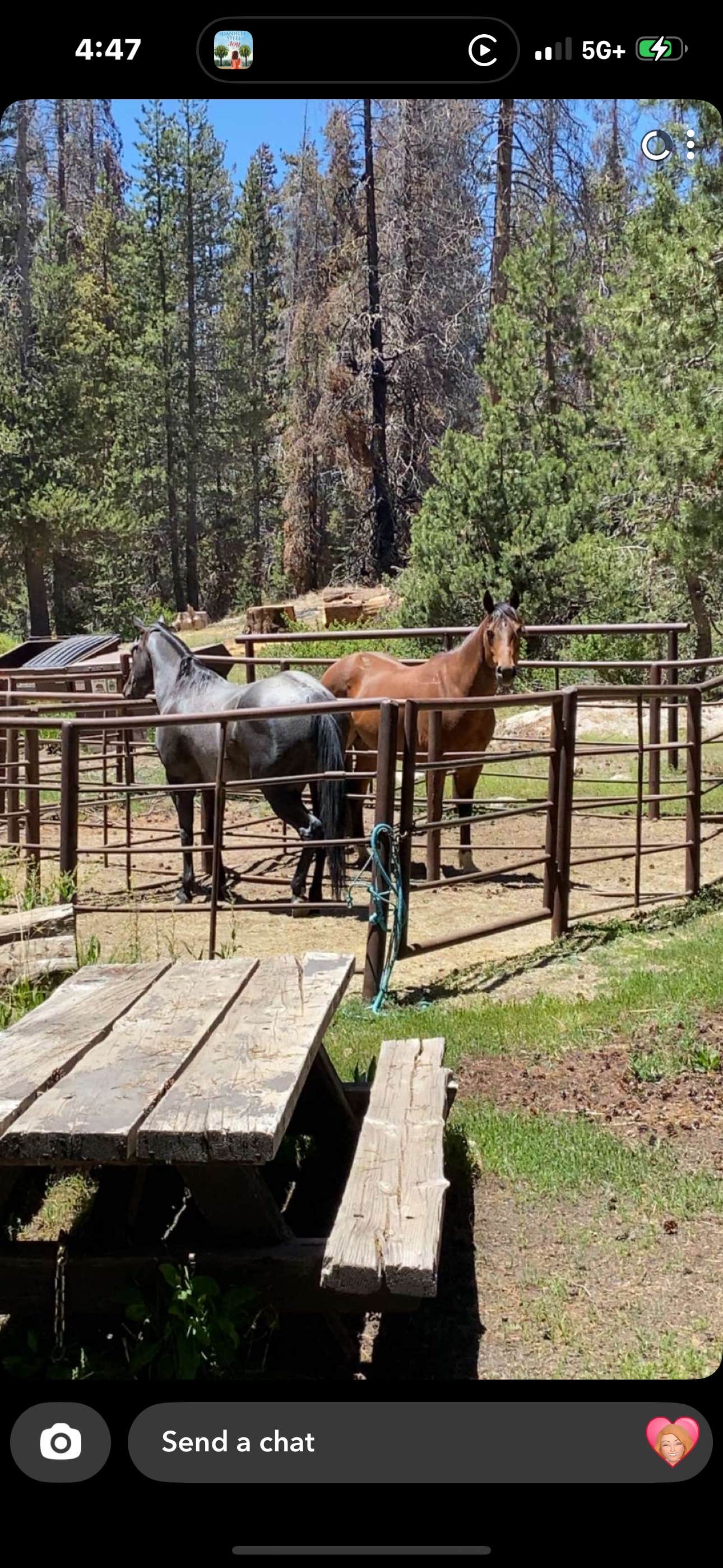 Camper-submitted photo at big meadows horse camp near Sequoia and Kings Canyon National Parks