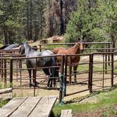 Review photo of big meadows horse camp by Lori L., June 20, 2025