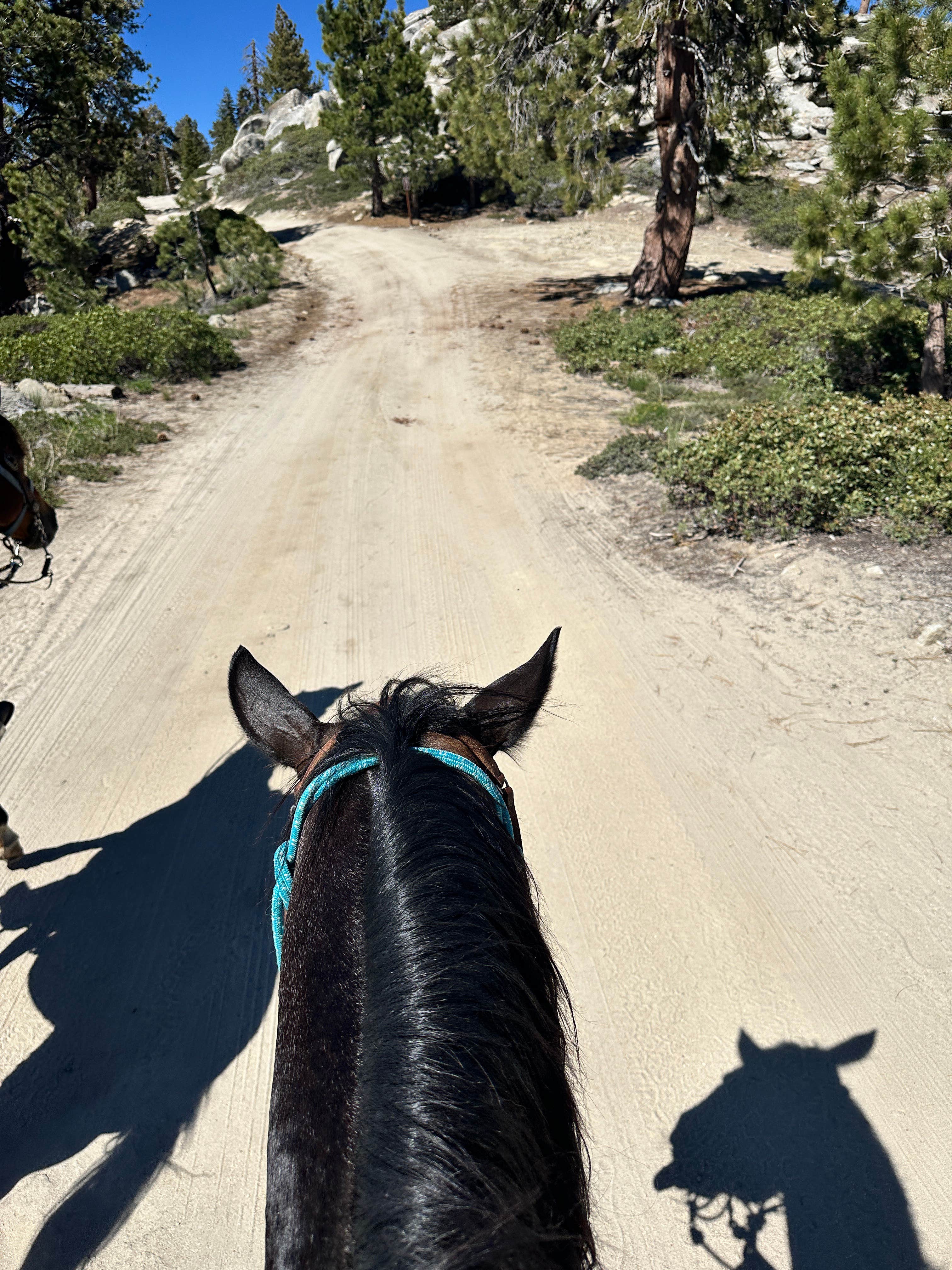 Camper-submitted photo at big meadows horse camp near Sequoia and Kings Canyon National Parks