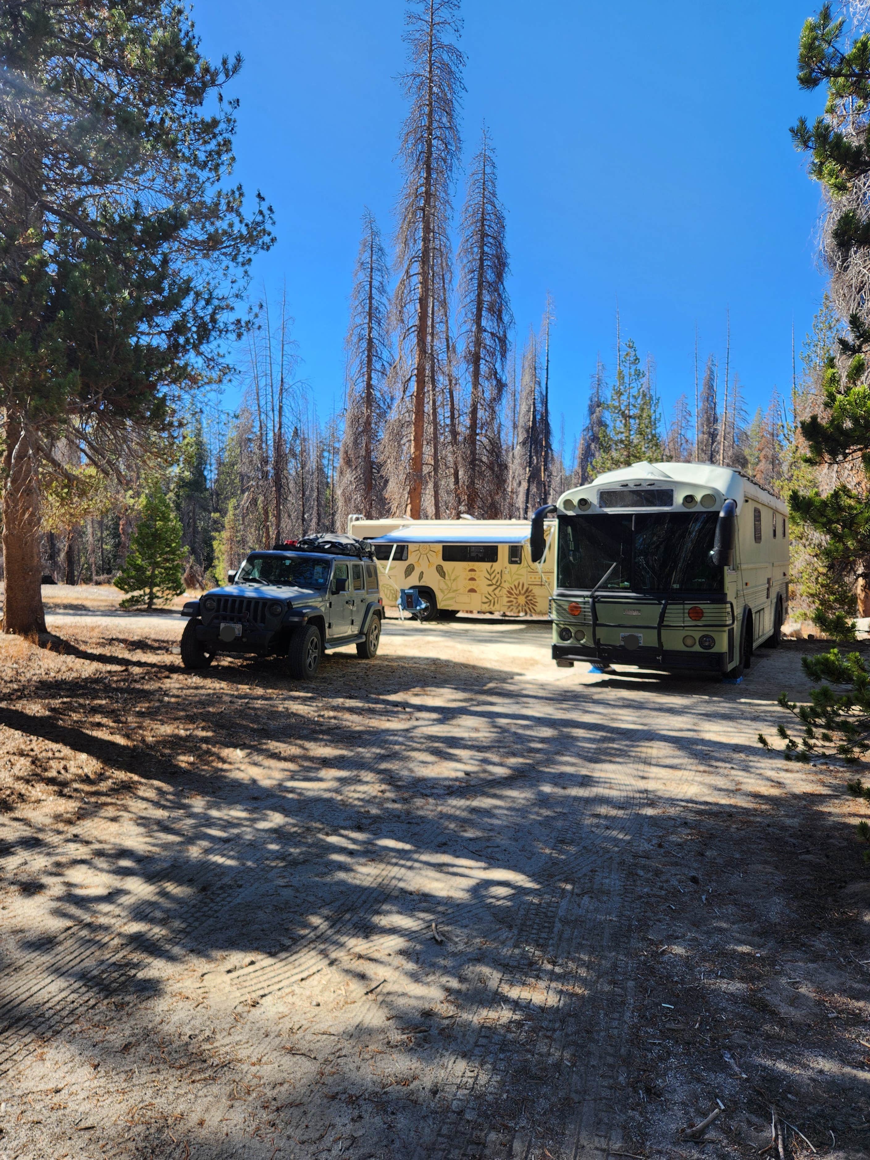 Camper-submitted photo at Big Meadows Road near Badger, CA