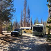 Review photo of Big Meadows Road by Nick B., October 17, 2026