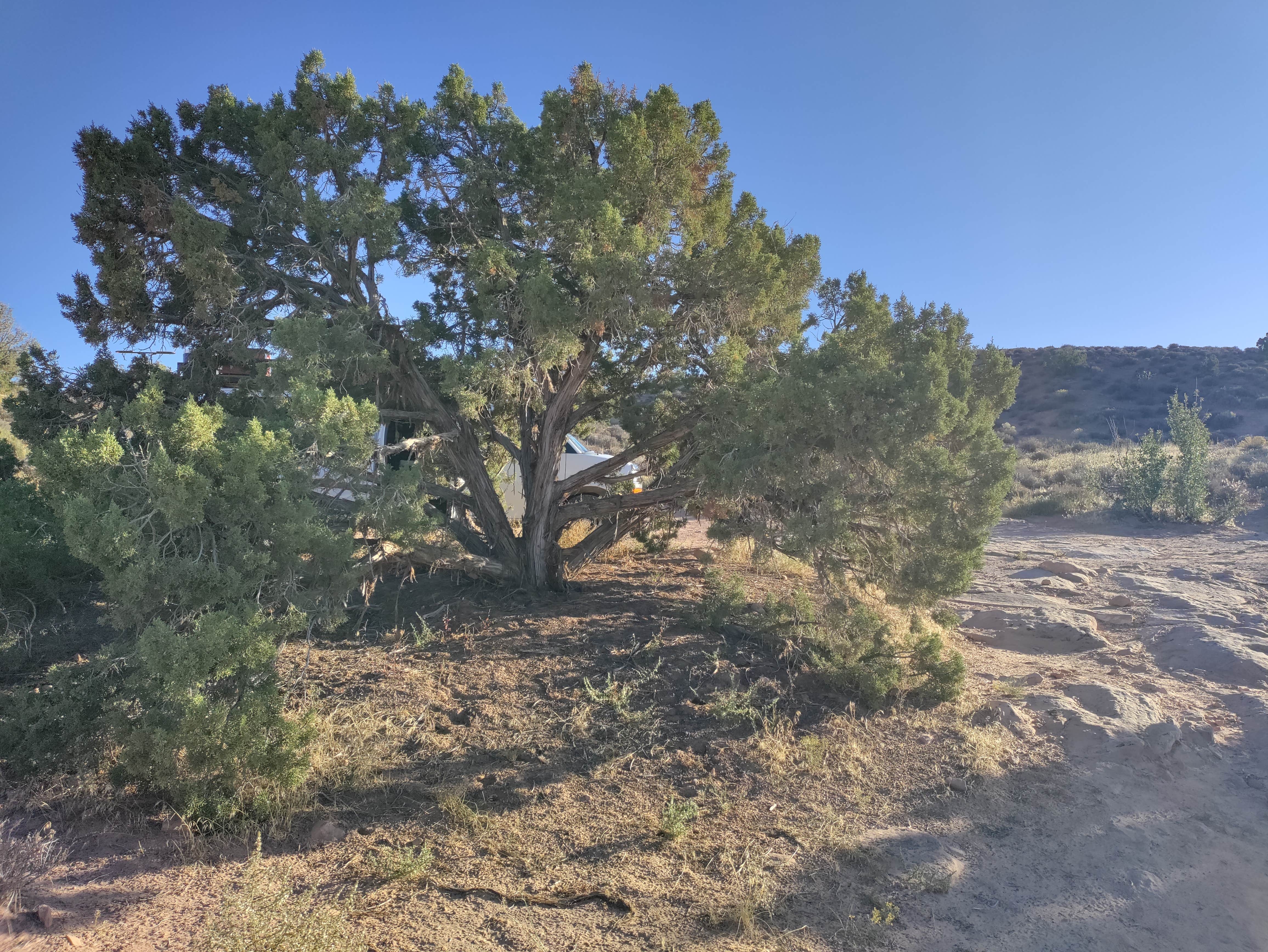 Camping near BLM Pulloff Near Arches National Park: Big Mesa Area, Moab, Utah