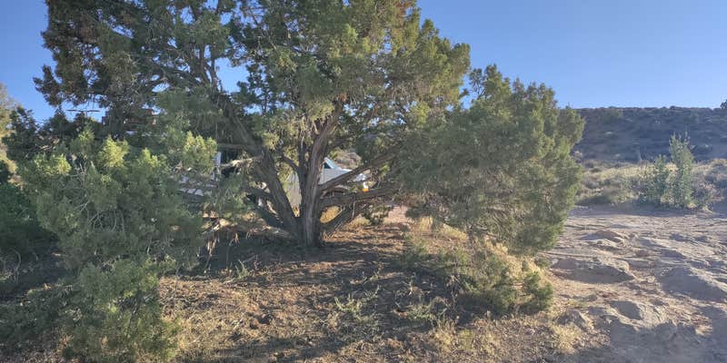 Camper submitted image from Big Mesa Area