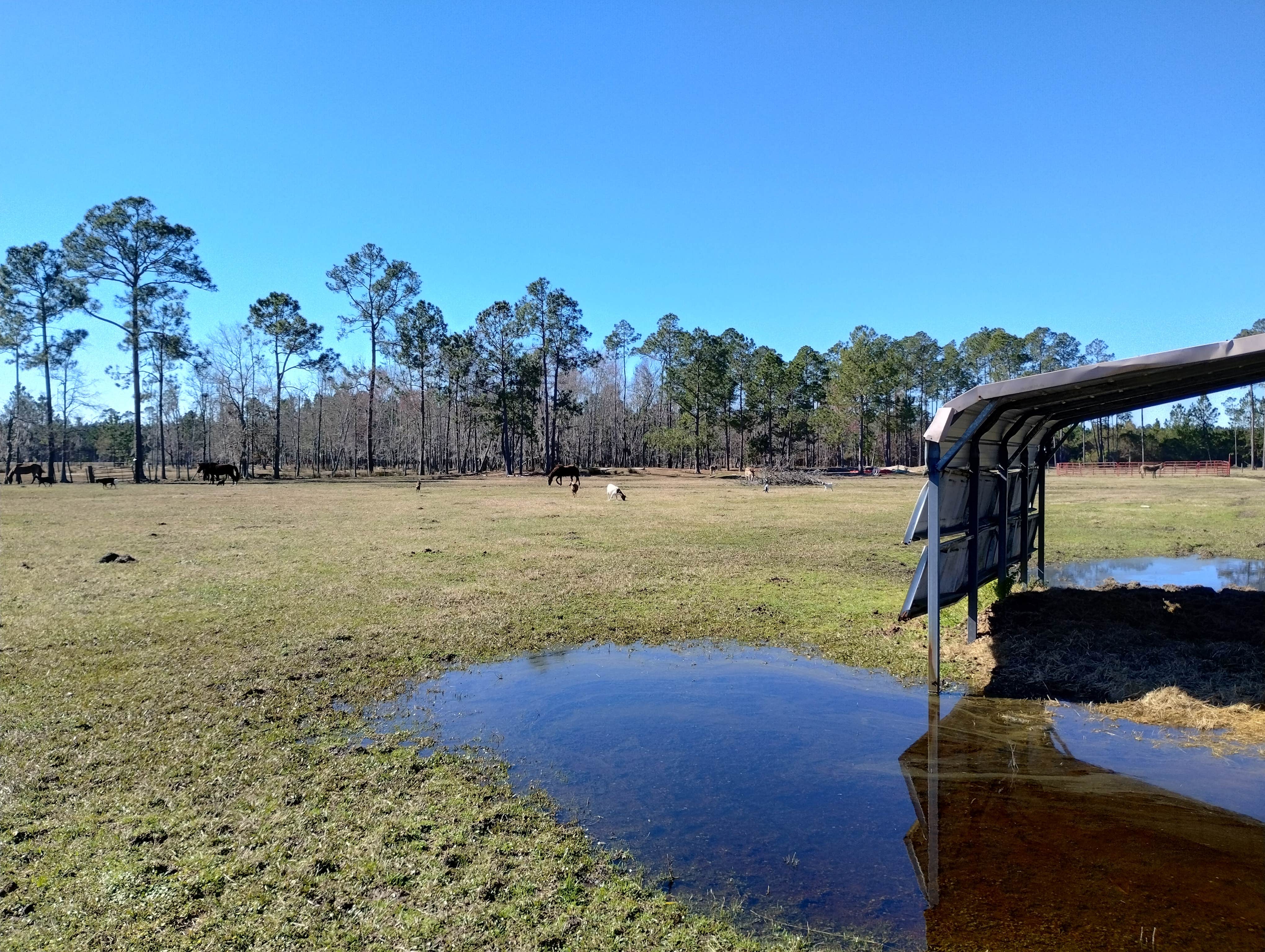 Camper-submitted photo at Big Mike’s Ranch and RV Camp near Nicholls, GA