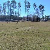 Review photo of Big Mike’s Ranch and RV Camp by Theresa B., March 1, 2024