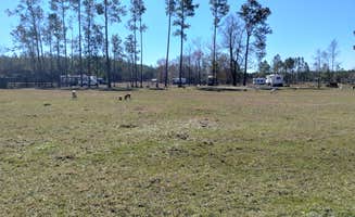 Theresa B.'s photo of camping with pets at Big Mike’s Ranch and RV Camp near Valdosta, GA