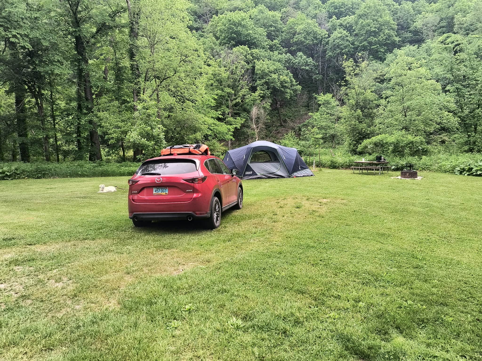 Tamsyn K.'s photo at Big Paint Campground — Yellow River State Forest near Lansing, IA
