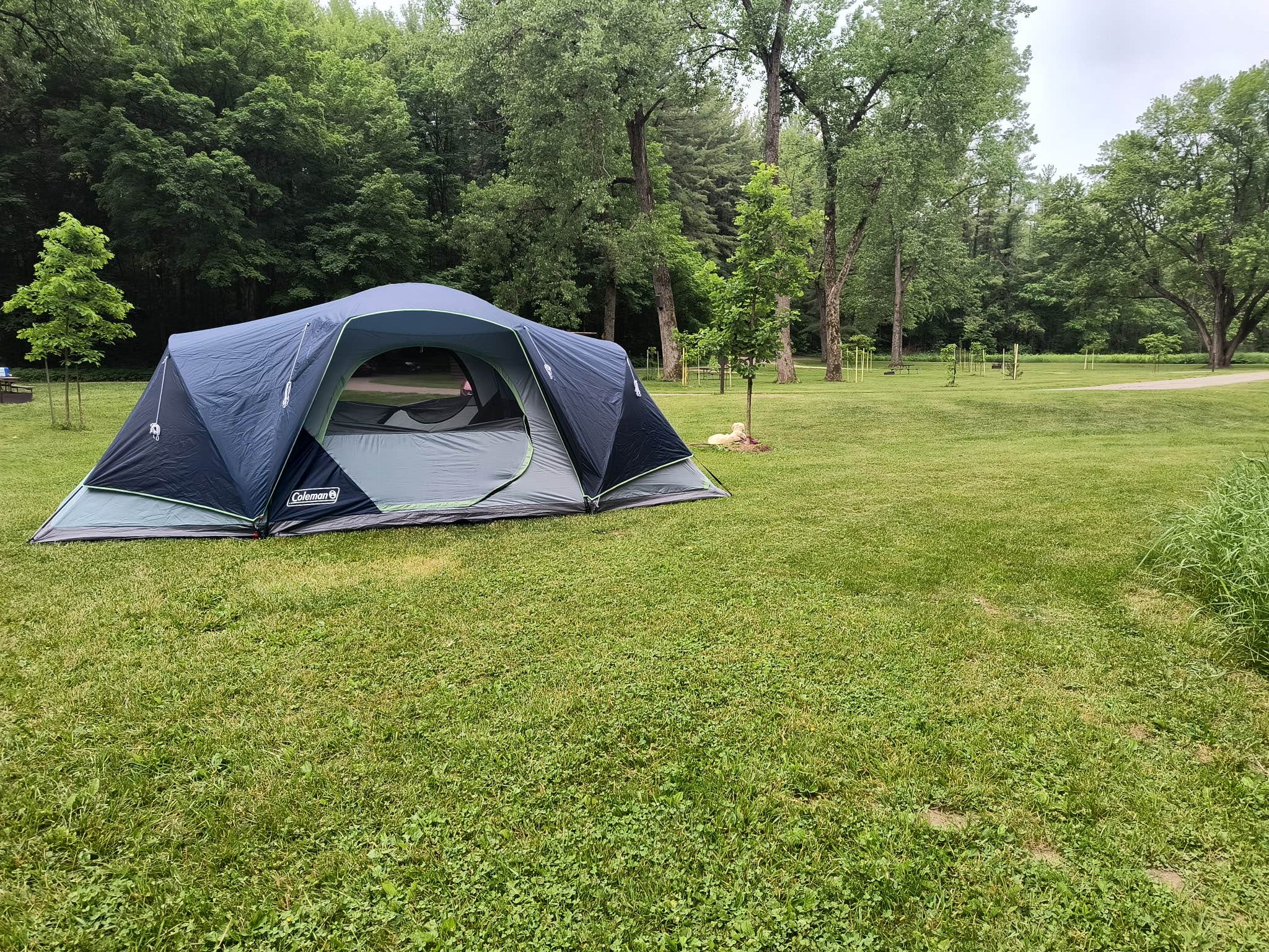 Tamsyn K.'s photo at Big Paint Campground — Yellow River State Forest near Wauzeka, WI
