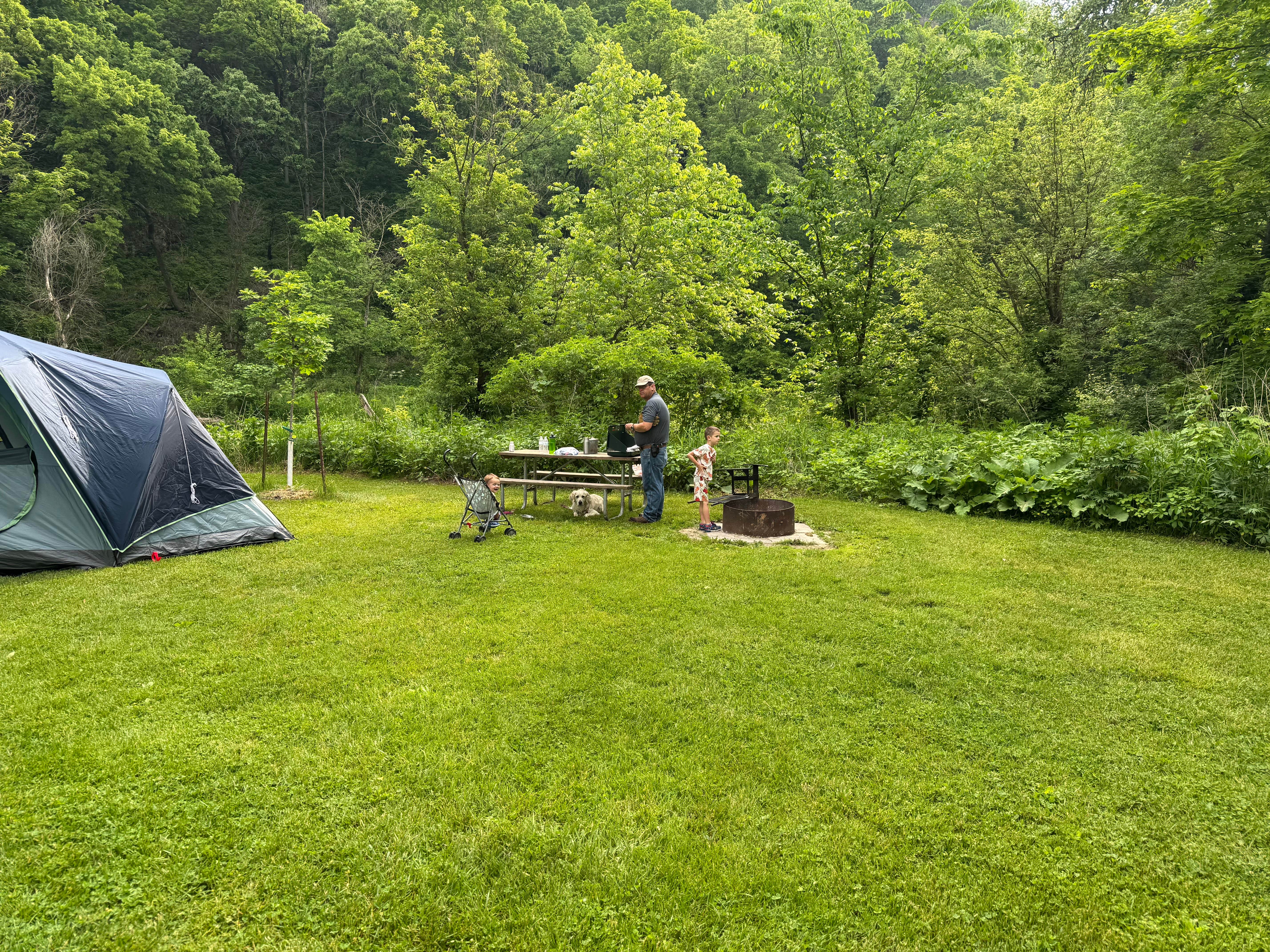 Tamsyn K.'s photo of camping with pets at Big Paint Campground — Yellow River State Forest near Viroqua, WI