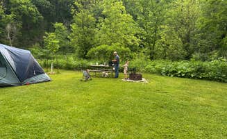 Tamsyn K.'s photo of camping with pets at Big Paint Campground — Yellow River State Forest near Viroqua, WI