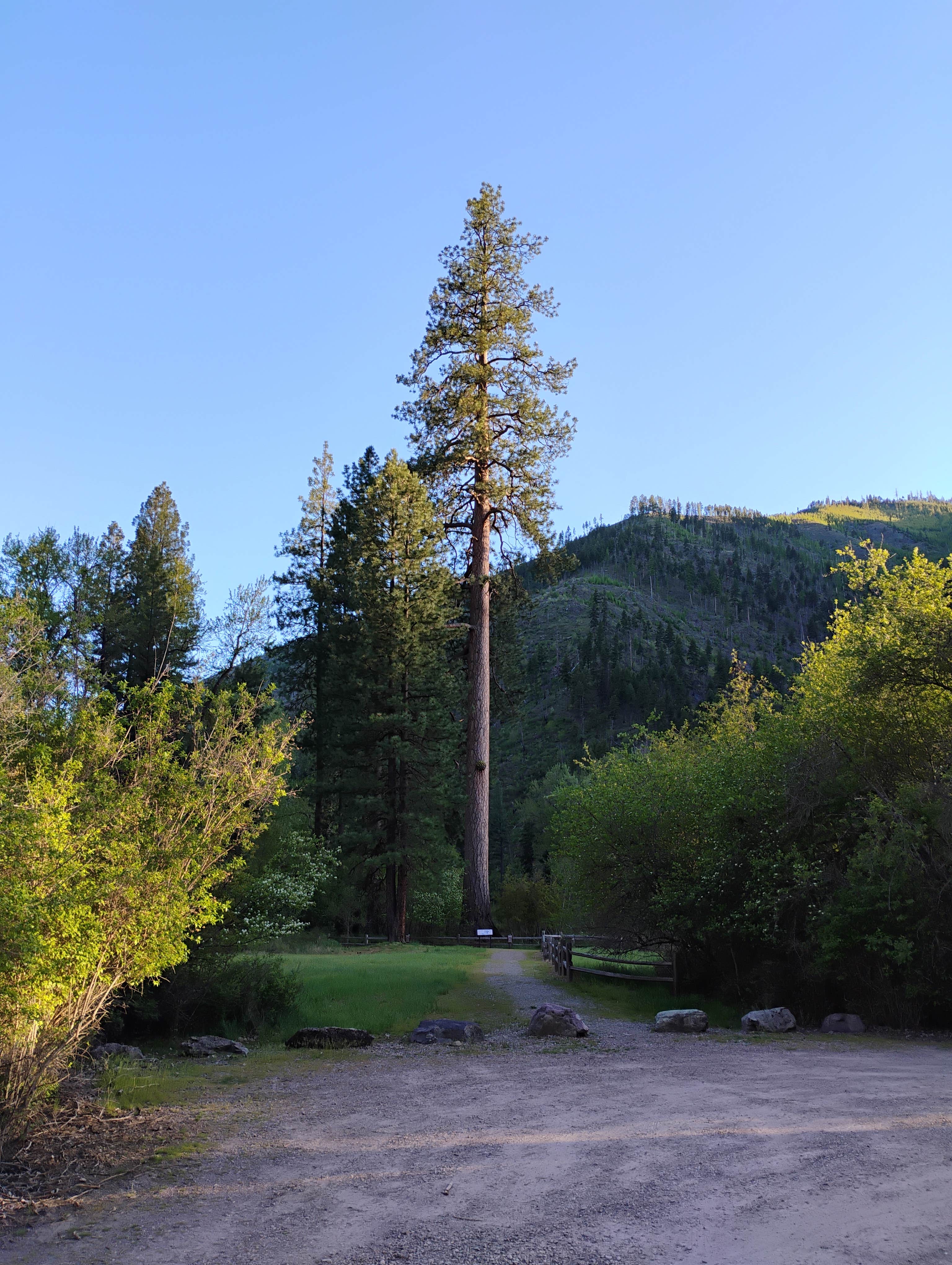 Camper-submitted photo at Big Pine Campground near Alberton, MT