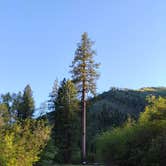 Review photo of Big Pine Campground by Carol B., May 6, 2026