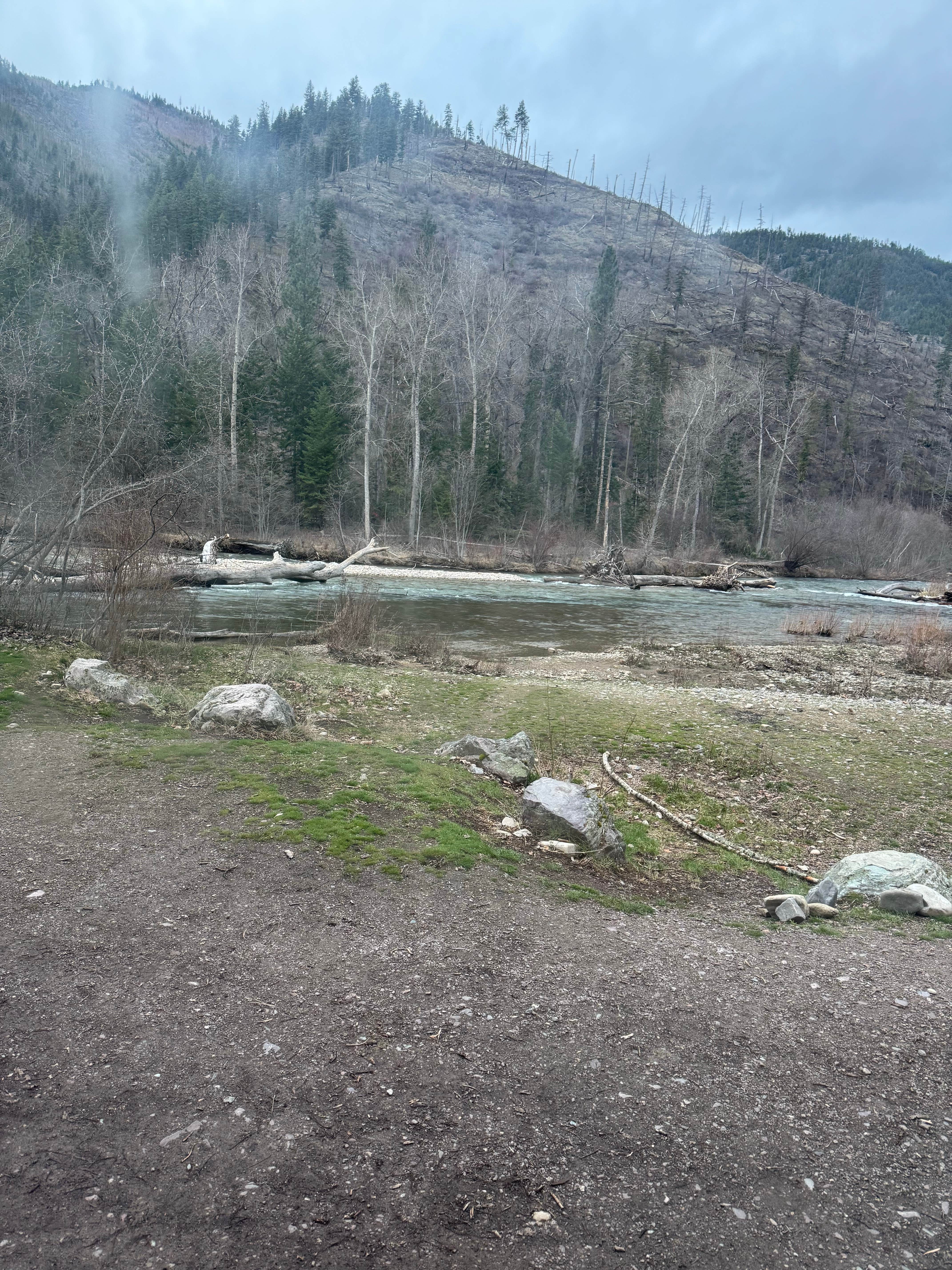 Camper-submitted photo at Big Pine Campground near Missoula, MT