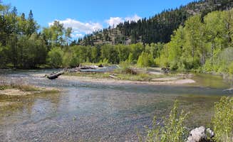 Carol B.'s photo of a dispersed camping area at Big Pine Campground near Lolo National Forest