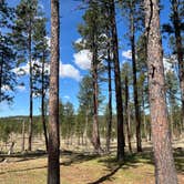 Review photo of Big Pine Campground by Marci S., May 13, 2024