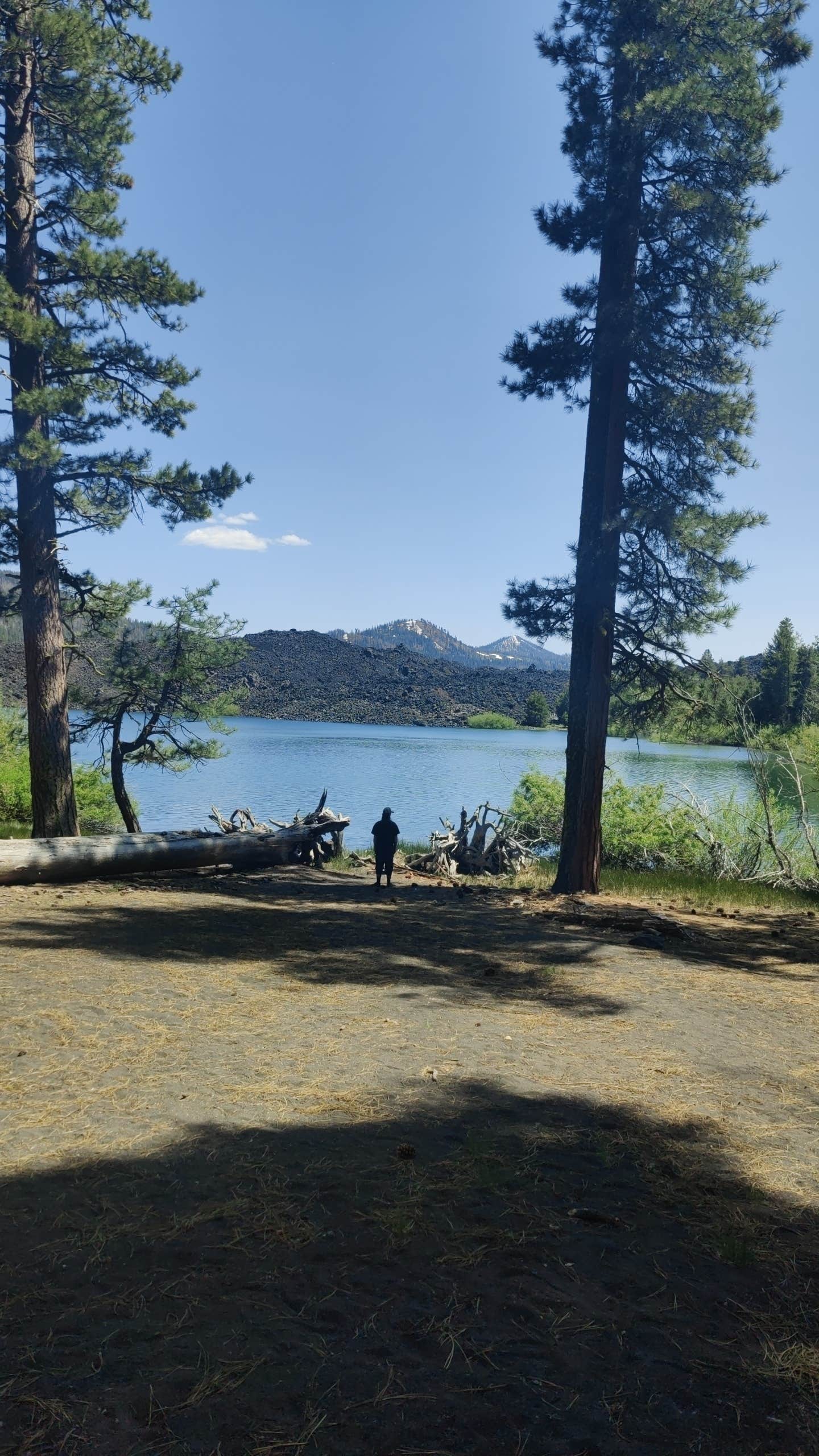 Camper-submitted photo at Big Pine Dispersed Camping near Whitmore, CA