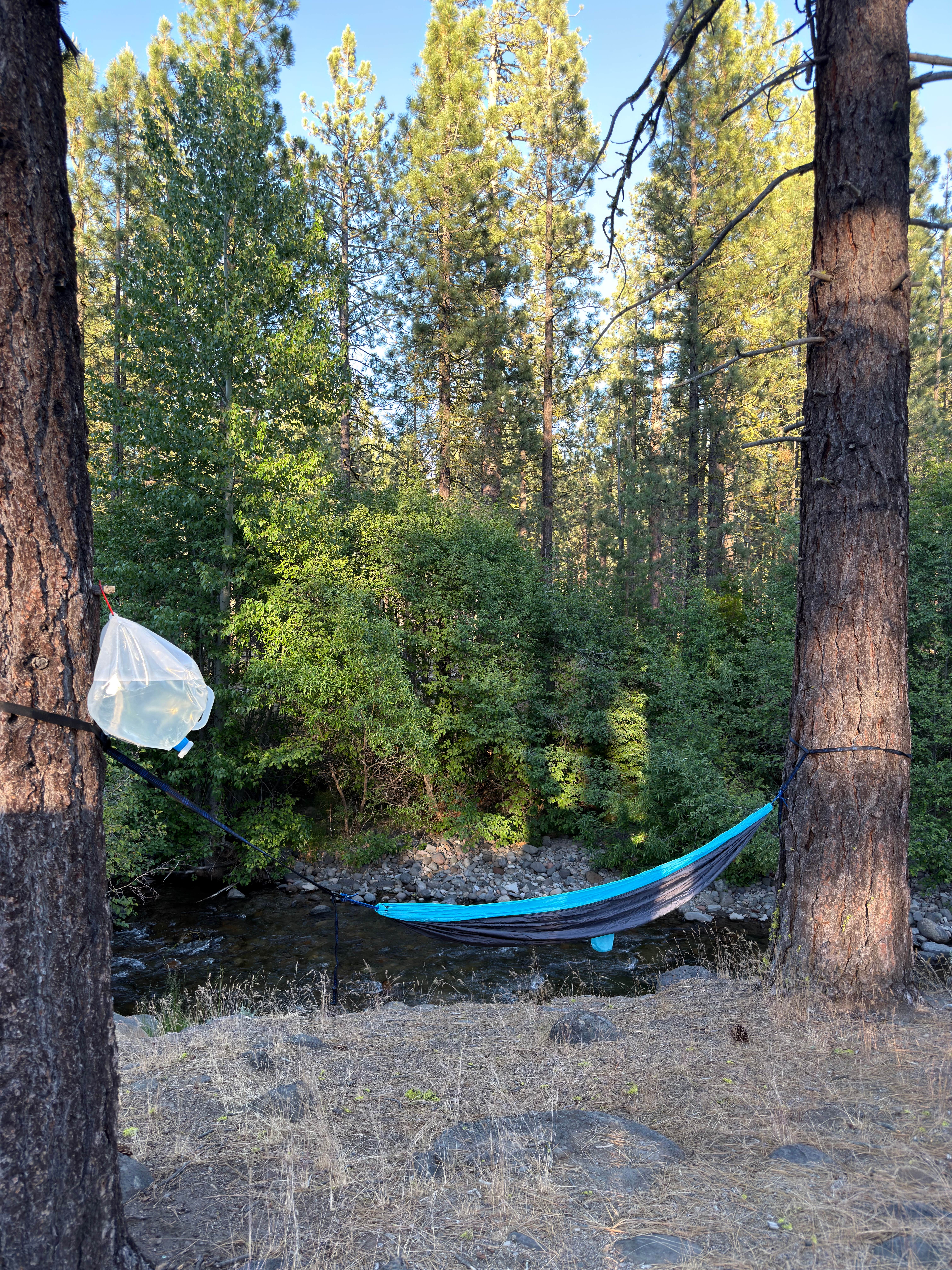 Camper-submitted photo at Big Pine Dispersed Camping near Shingletown, CA