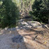 Review photo of Big Pine Dispersed Camping by Jake T., July 23, 2026