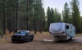 Stephanie I.'s photo at Big Pine Dispersed Camping near Cassel, CA