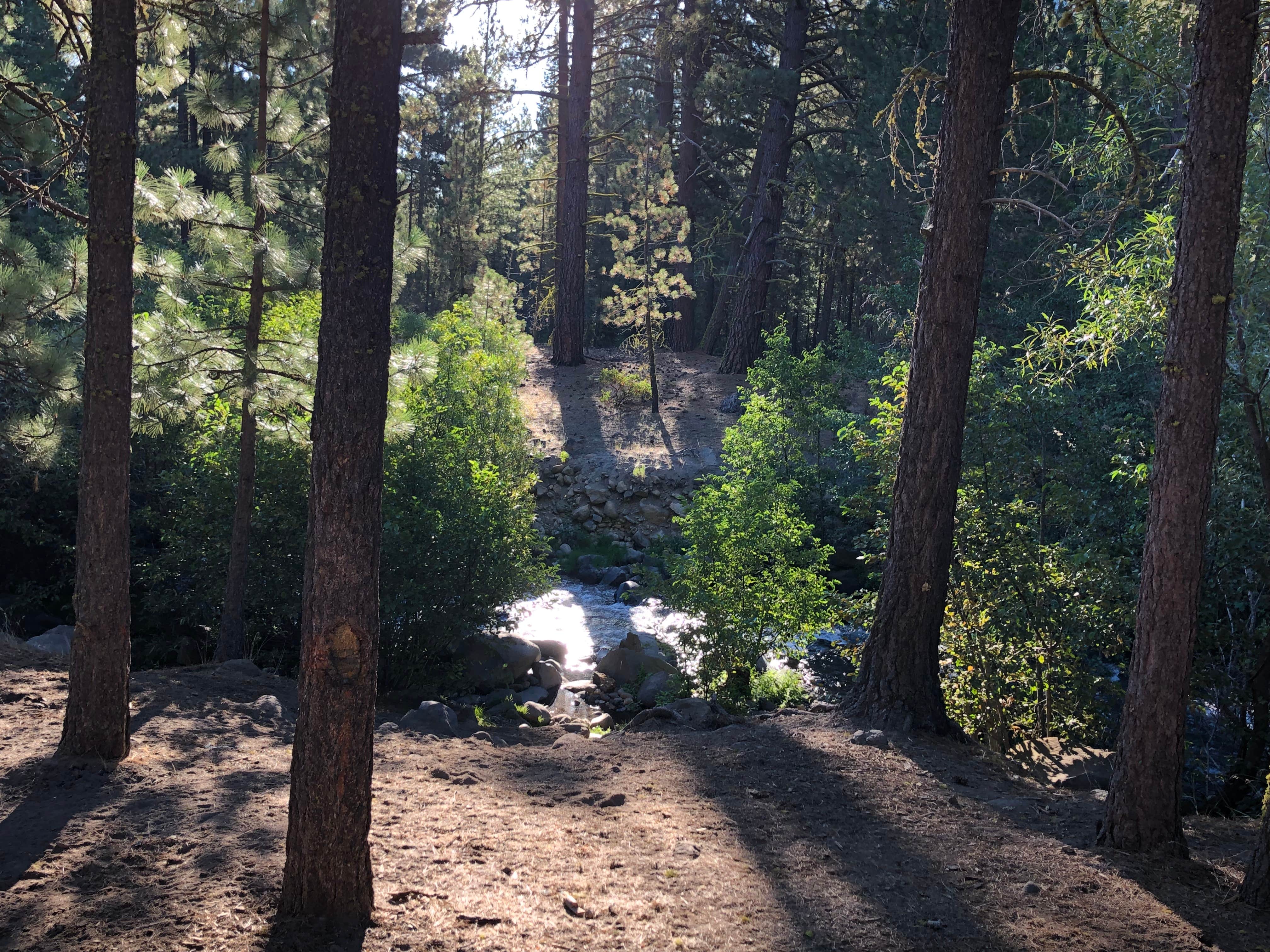 Big Pine Dispersed Camping