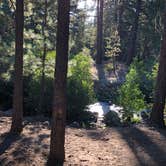 Review photo of Big Pine Dispersed Camping by Meatball W., August 12, 2025