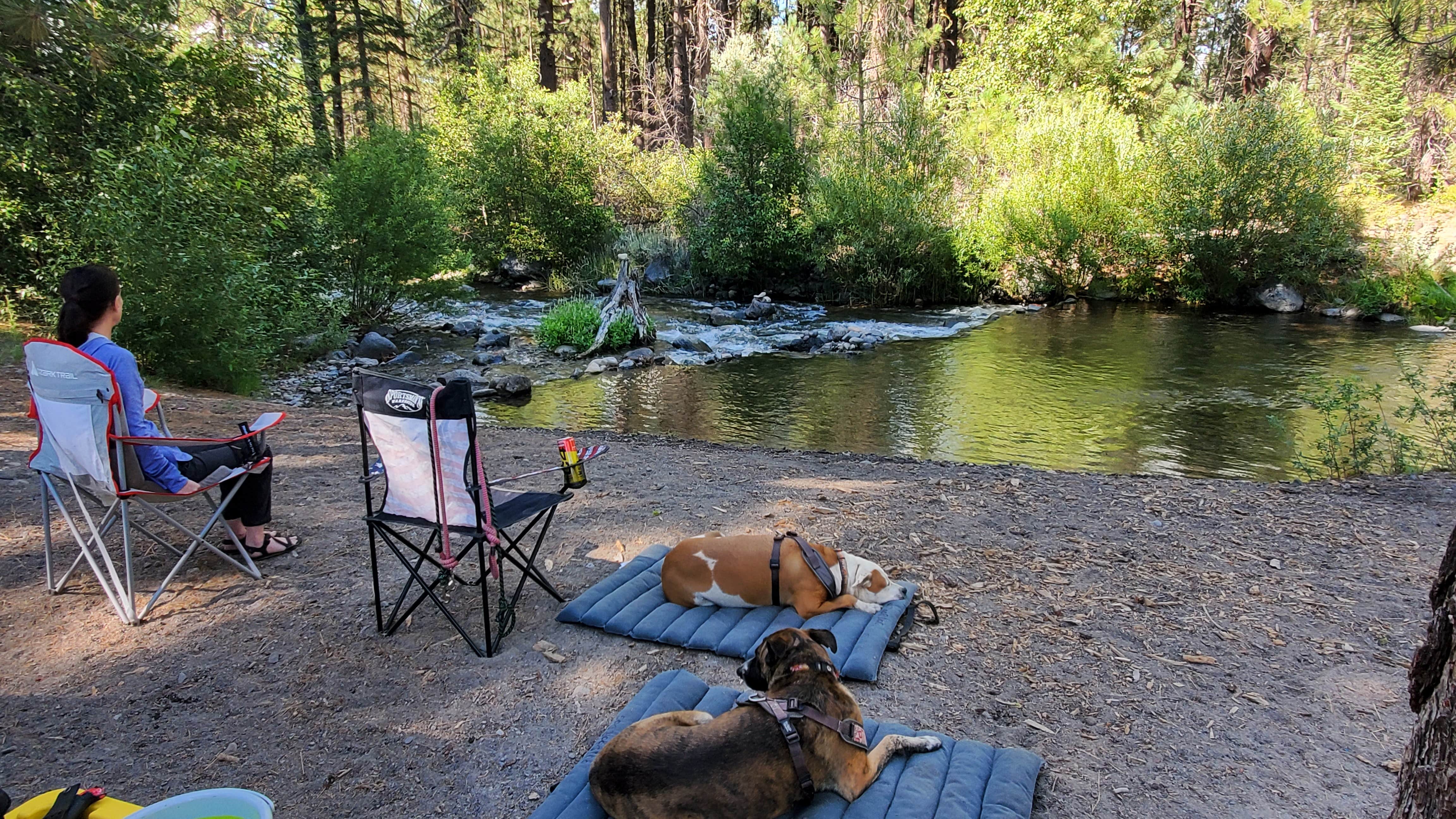 Camper submitted image from Big Pine Dispersed Camping - 4