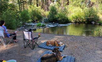 Bruce E.'s photo of camping with pets at Big Pine Dispersed Camping near Mill Creek, CA