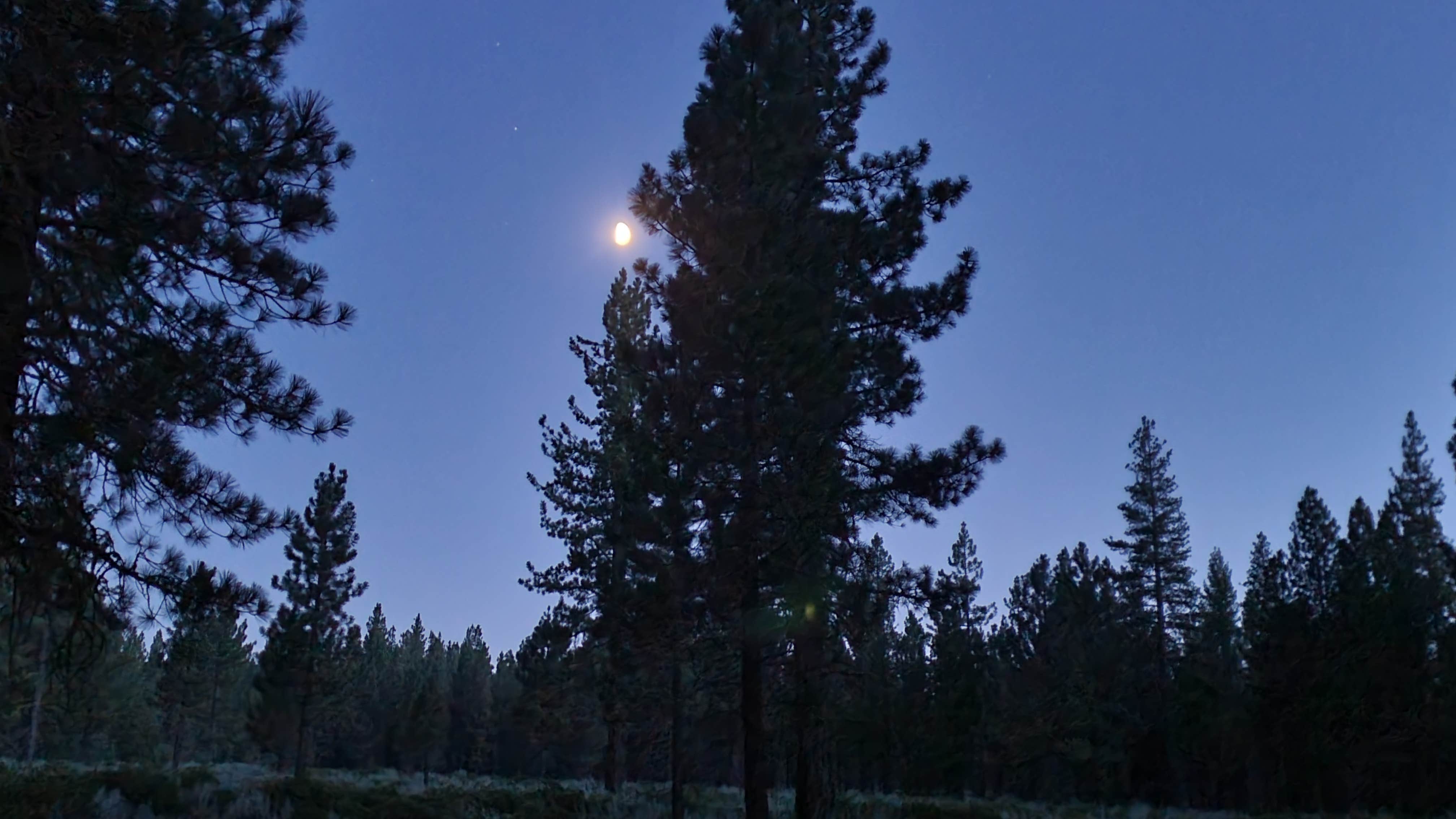 Camper submitted image from Big Pine Dispersed Camping - 1