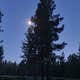 Big Pine Dispersed Camping