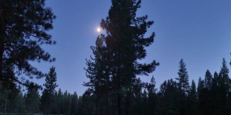 Camper submitted image from Big Pine Dispersed Camping