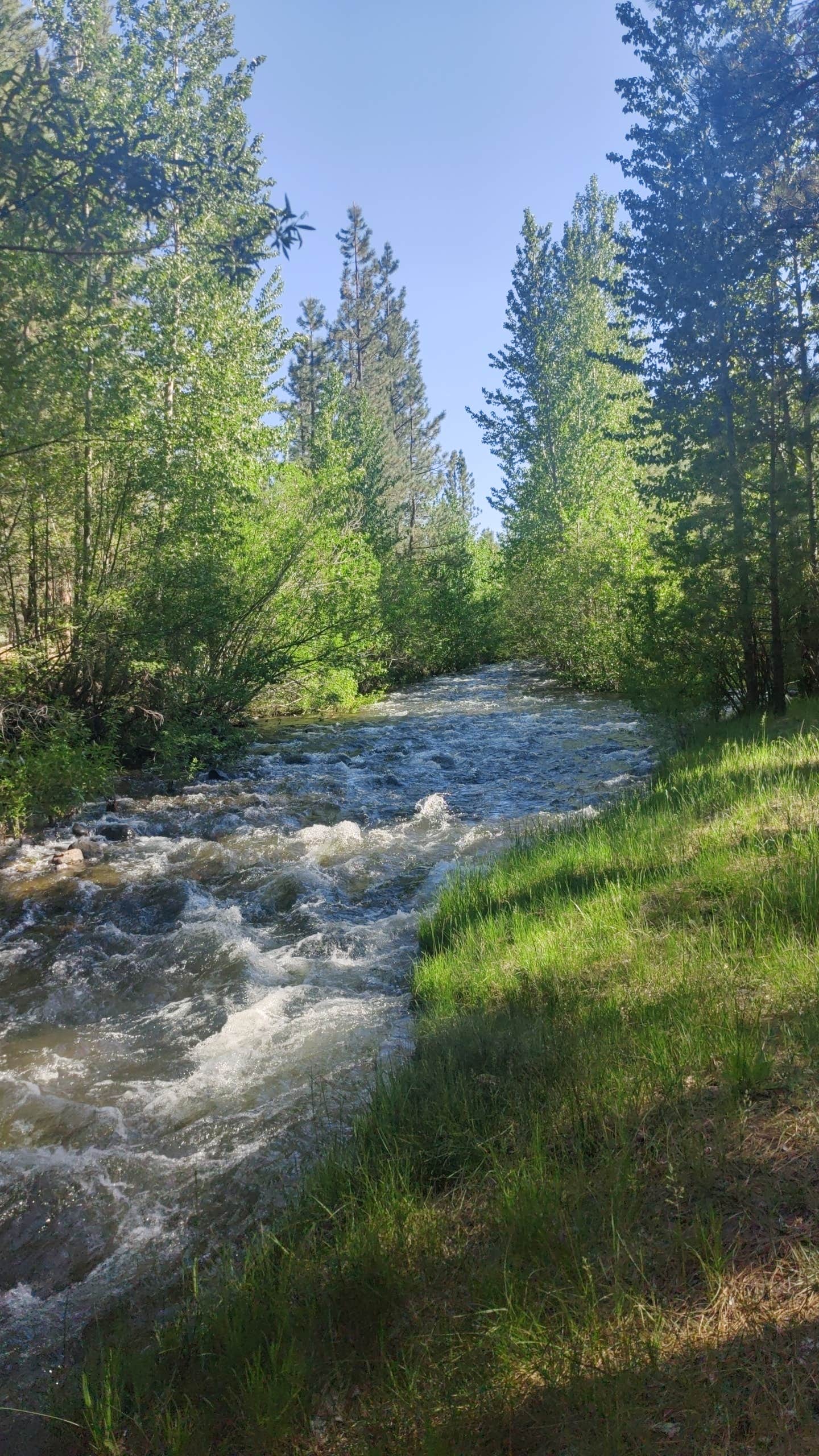 Camper submitted image from Big Pine Dispersed Camping - 2