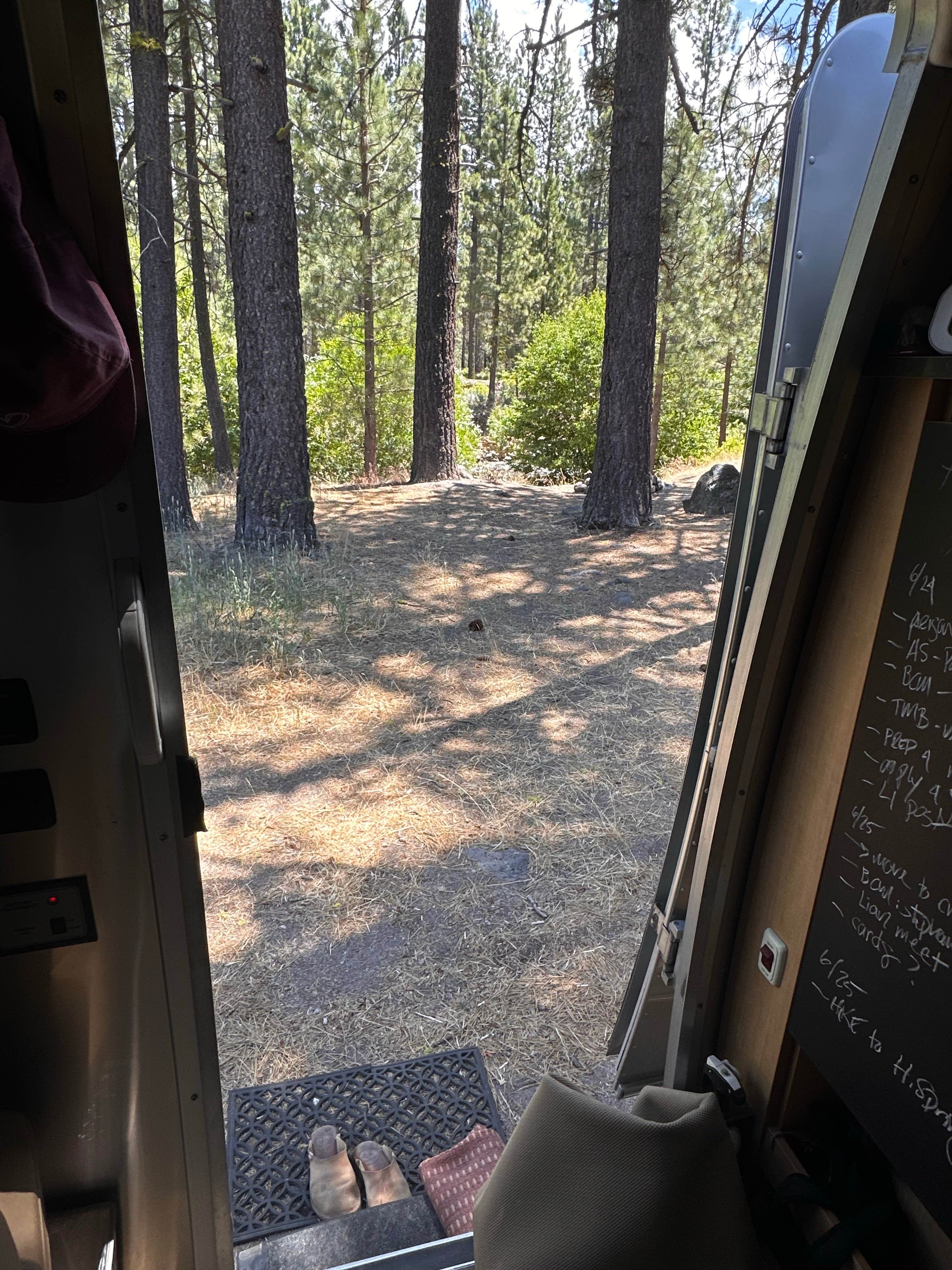 Camper-submitted photo at Big Pine Dispersed Camping near Redding, CA