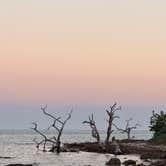Review photo of Big Pine Key RV Park by Sophie R., March 14, 2025