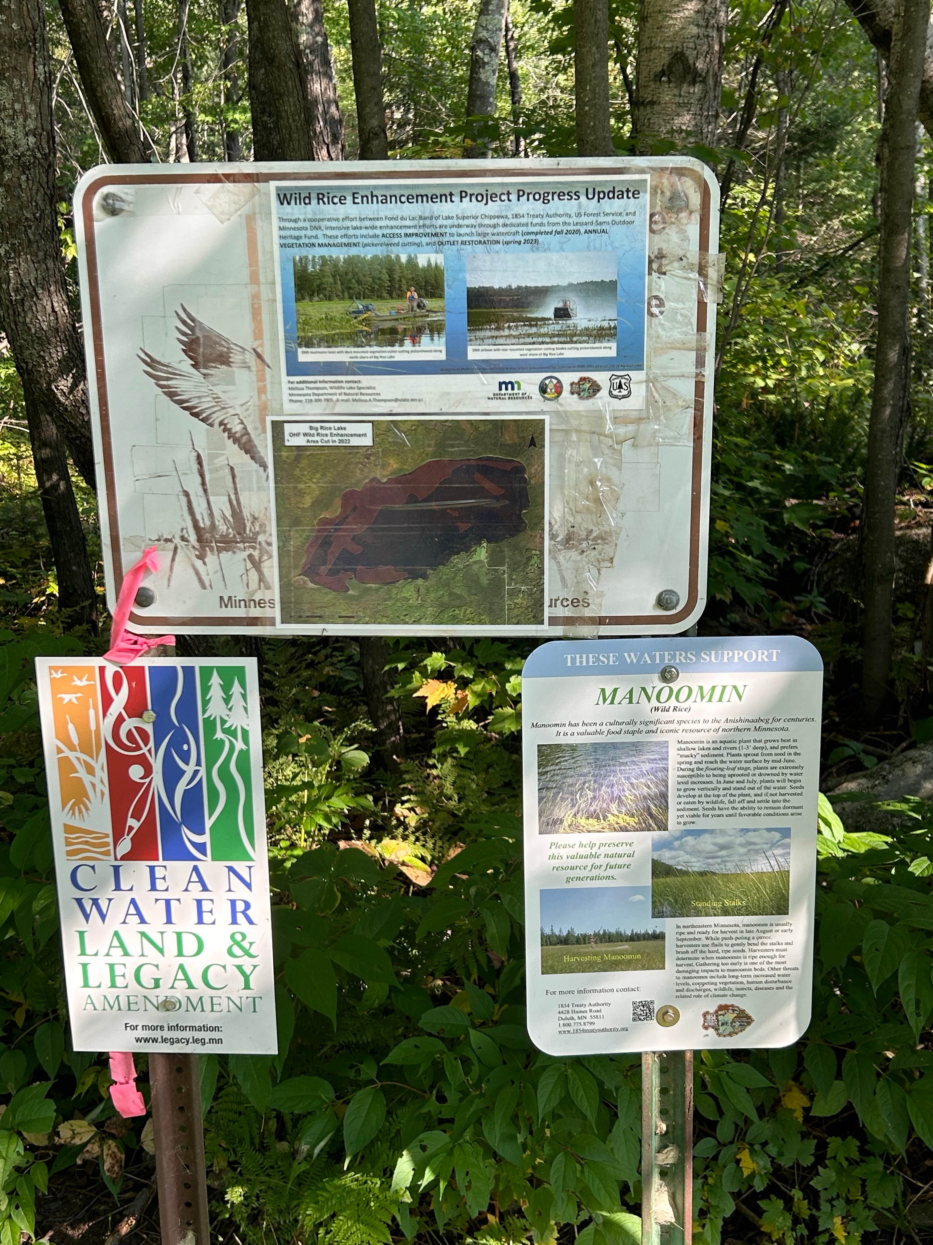 Camper-submitted photo at Big Rice Lake near Orr, MN