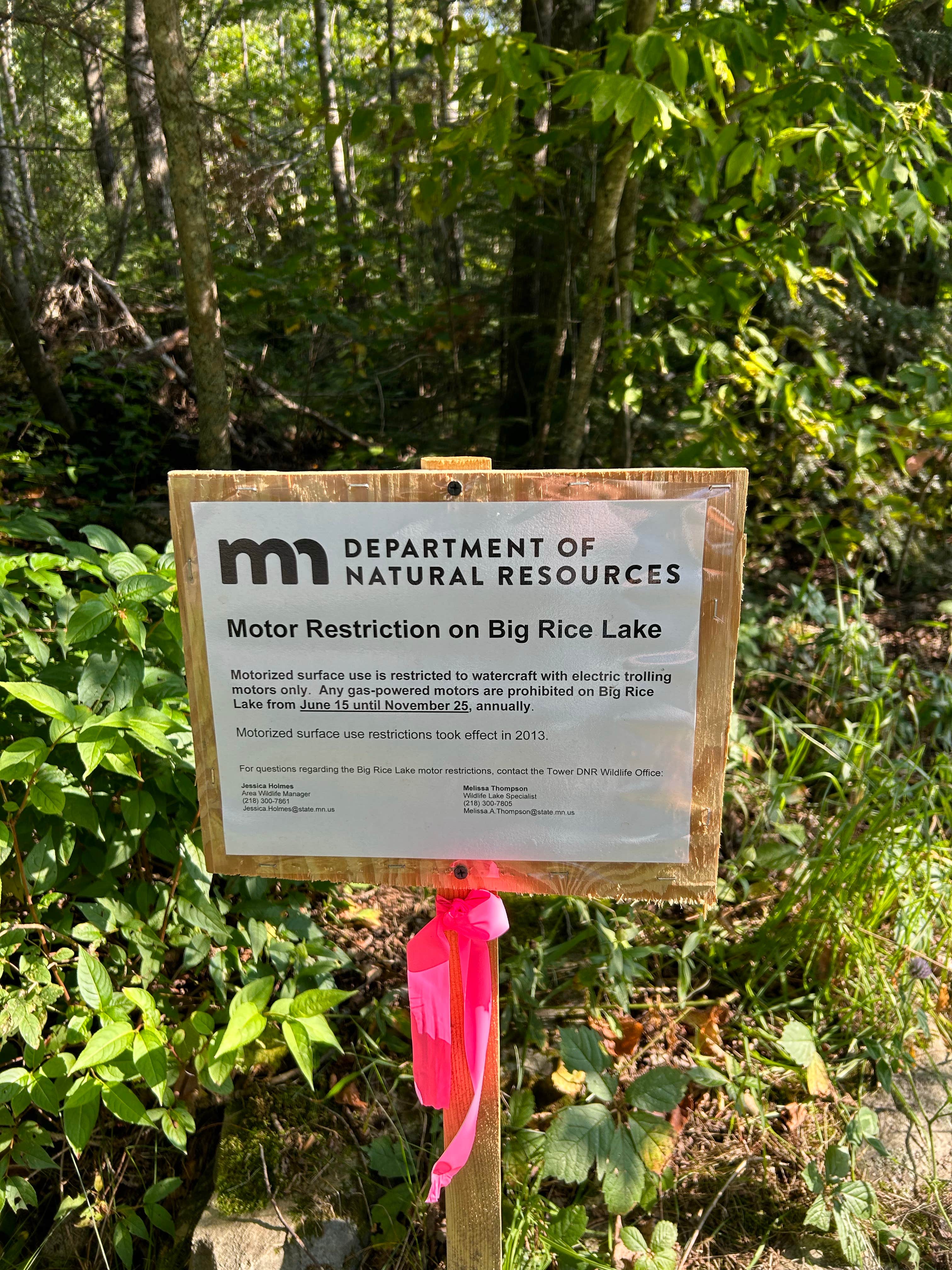 Camper-submitted photo at Big Rice Lake near Orr, MN