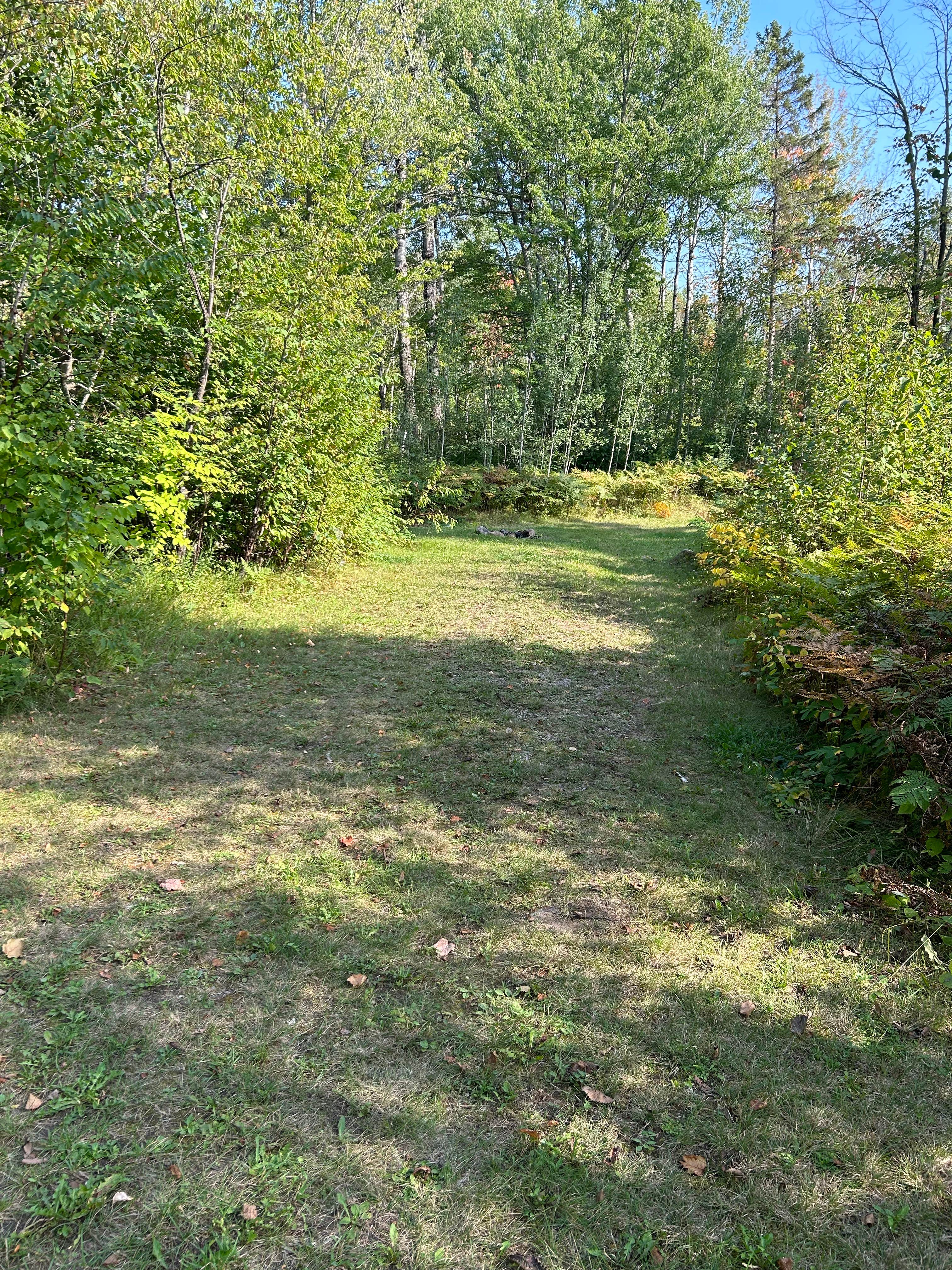 Camper submitted image from Big Rice Lake - 5