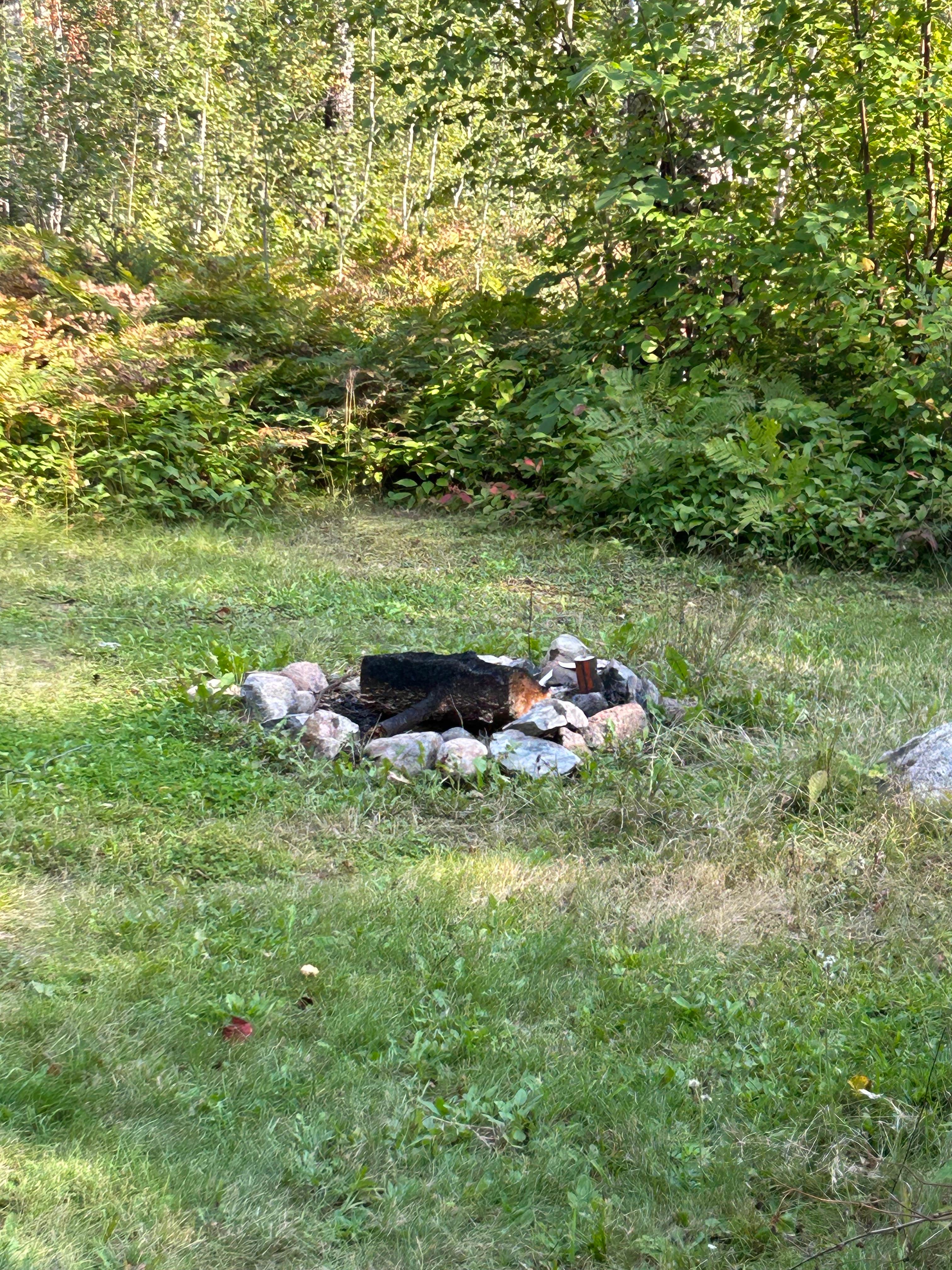 Camper-submitted photo at Big Rice Lake near Orr, MN