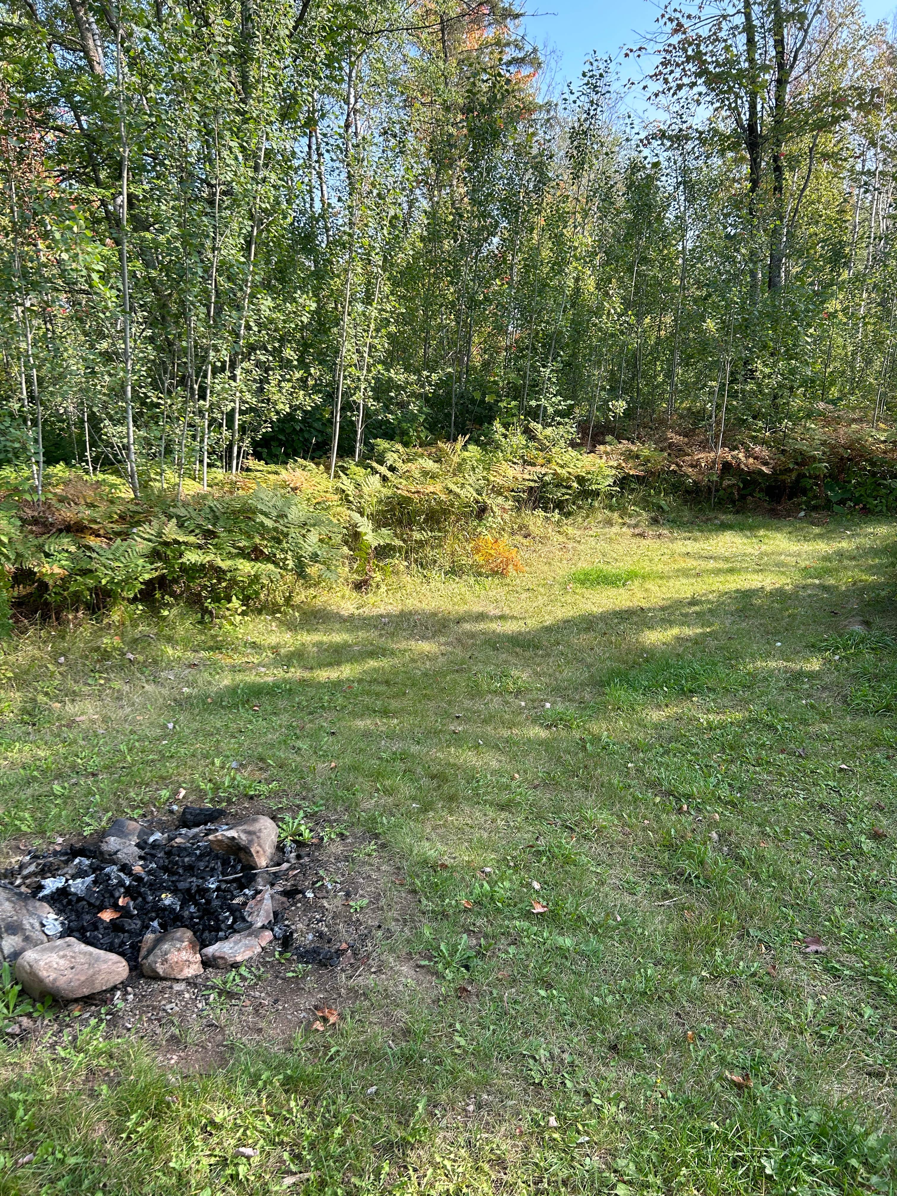 Camper-submitted photo at Big Rice Lake near Orr, MN