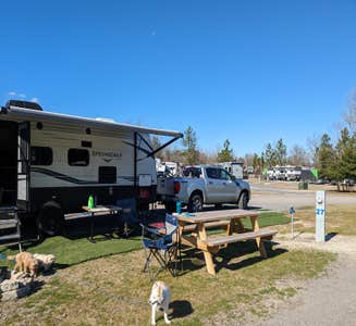 Camper-submitted photo from Cedar Pond Campground