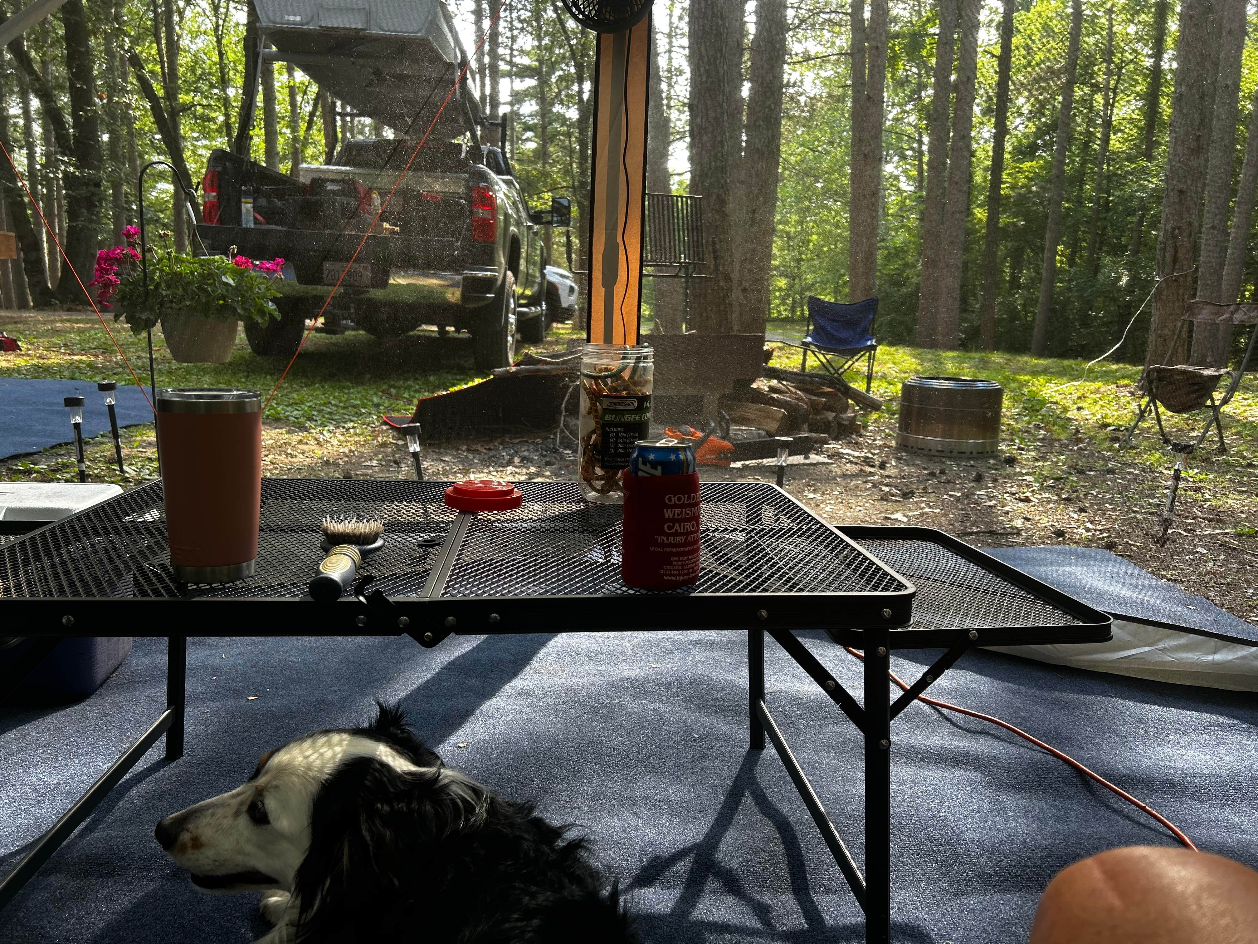 Camper submitted image from Big River State Forest Campground - 1