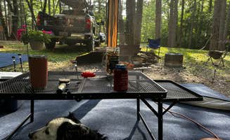 Jeff F.'s photo at Big River State Forest Campground near West Point, IA