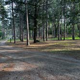 Review photo of Big River State Forest Campground by Jeff F., June 21, 2025