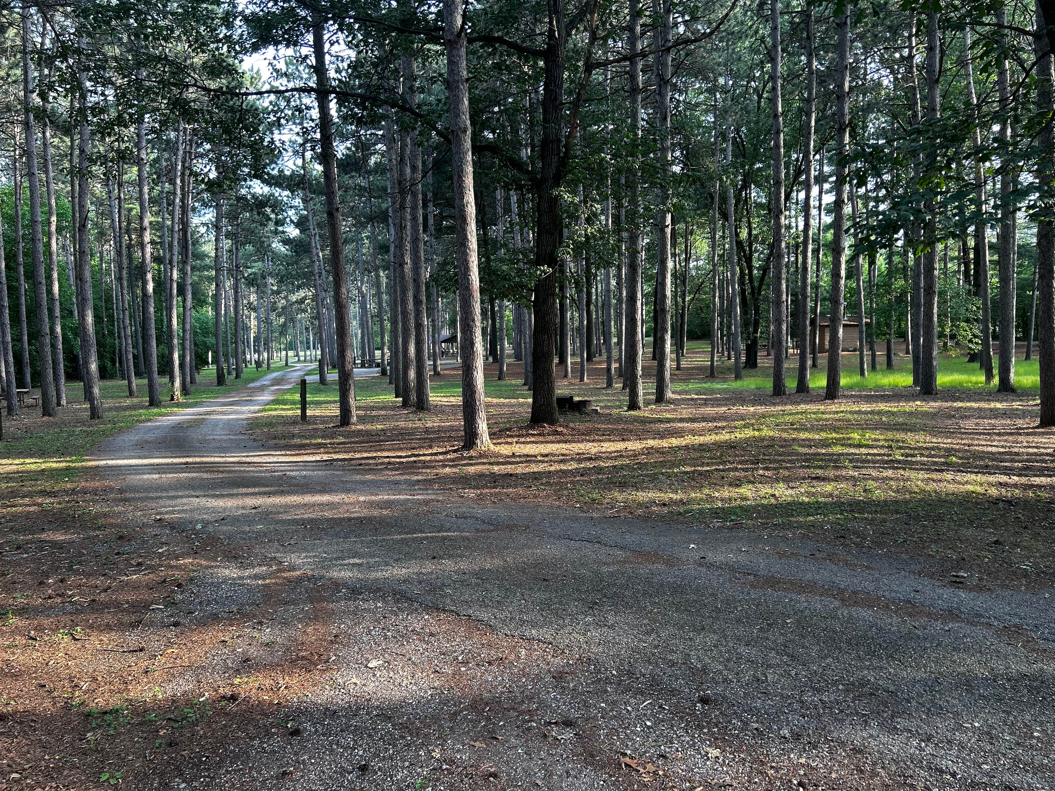 Camper submitted image from Big River State Forest Campground - 1