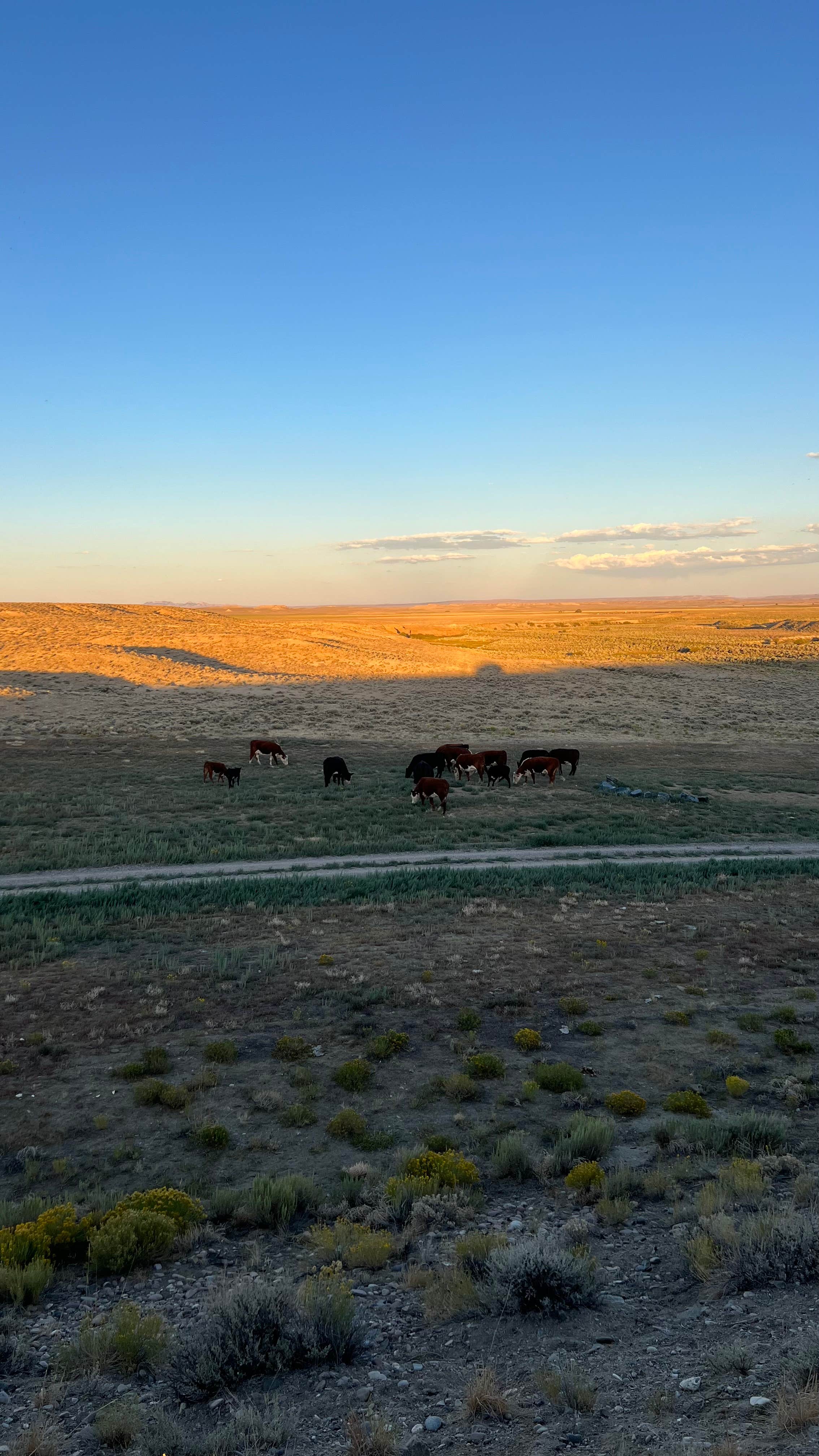 Camper submitted image from Big Sandy Dam and Reservoir - 5