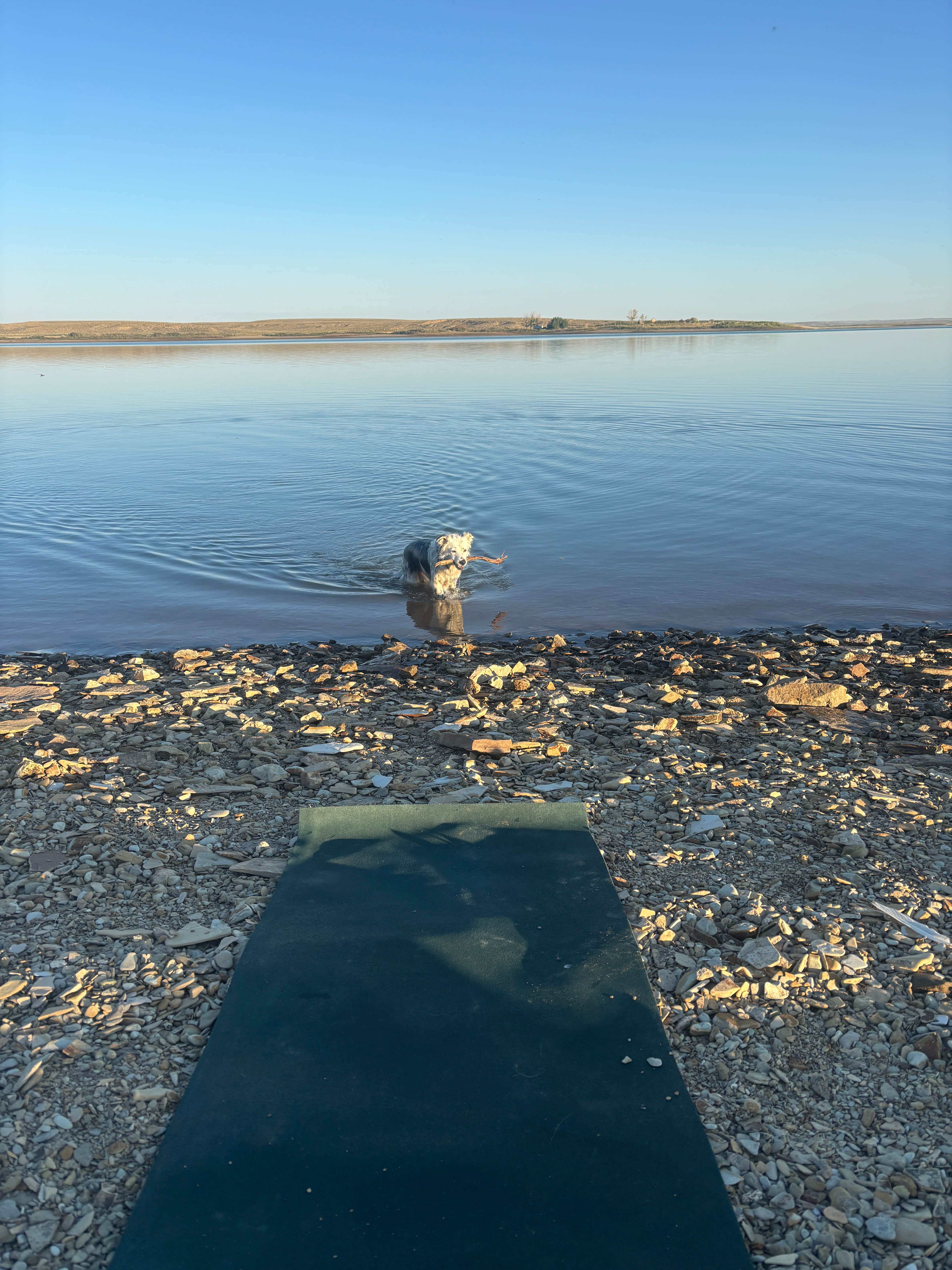 dirtdog's photo of camping with pets at Big Sandy Reservoir Rec Area near Big Piney, WY