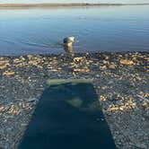 Review photo of Big Sandy Reservoir Rec Area by dirtdog , August 15, 2025