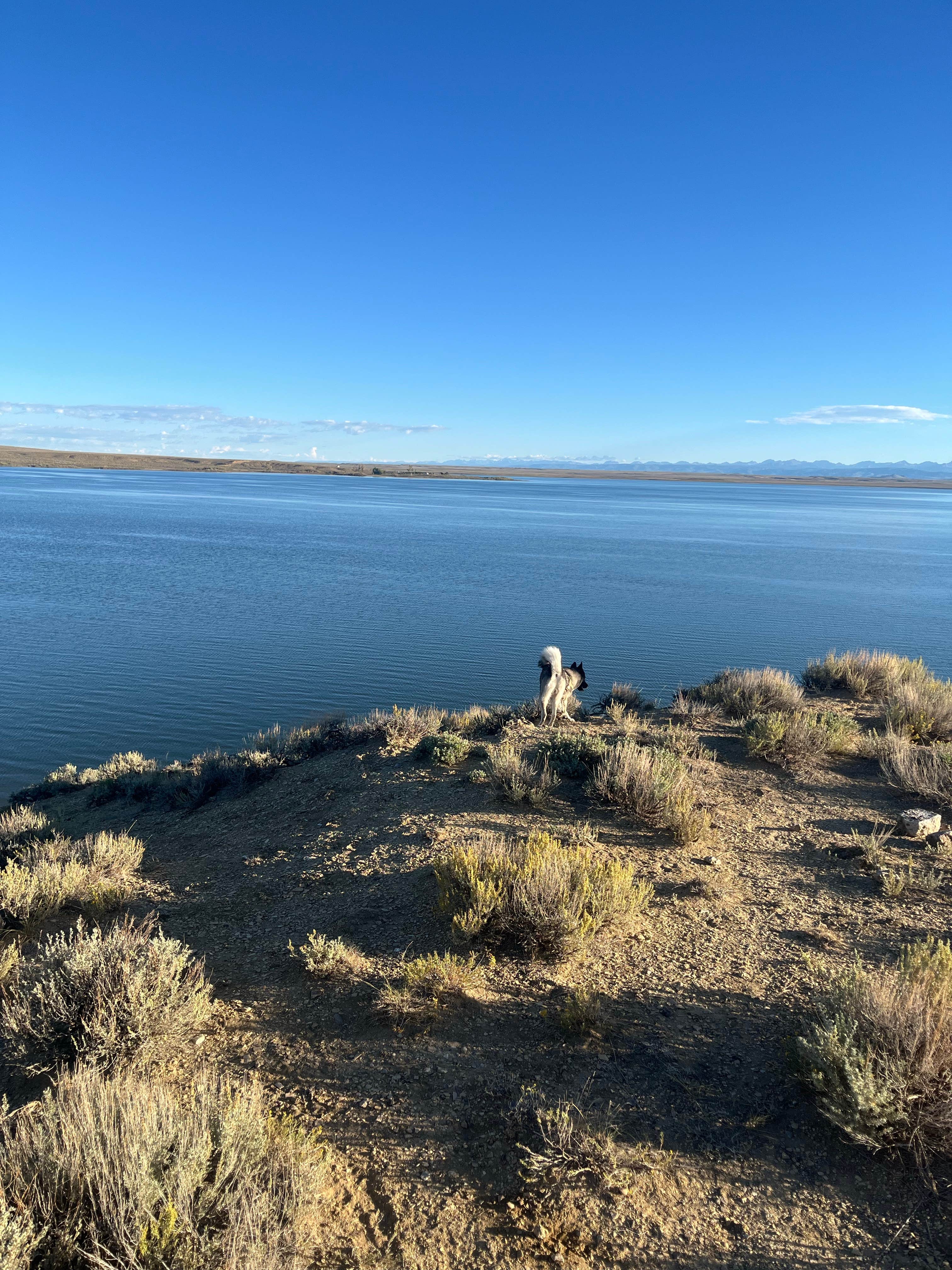 keera B.'s photo of camping with pets at Big Sandy Reservoir near Farson, WY